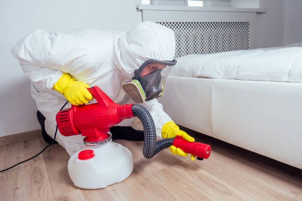 Best Affordable Pest Control Services  in Hildebran, NC