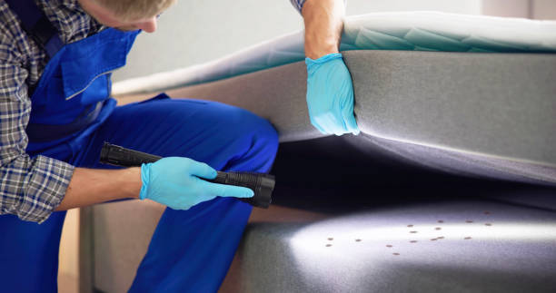 Best Pest Prevention Services  in Hildebran, NC